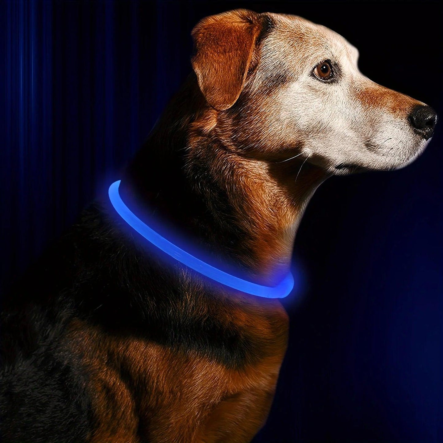PETURA™ Smart LED Safety Collar for Pets